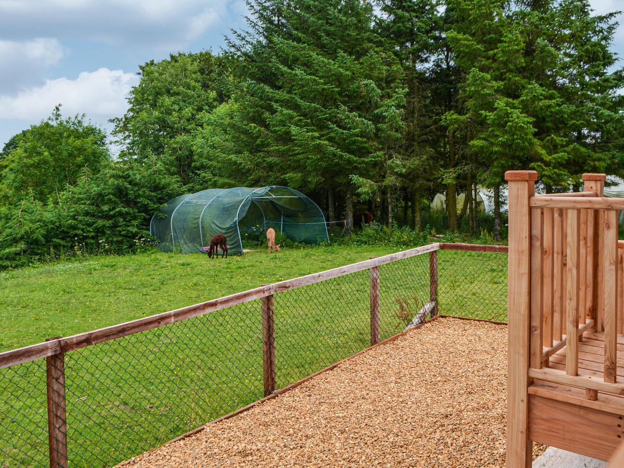 The Alpaca Holiday home *